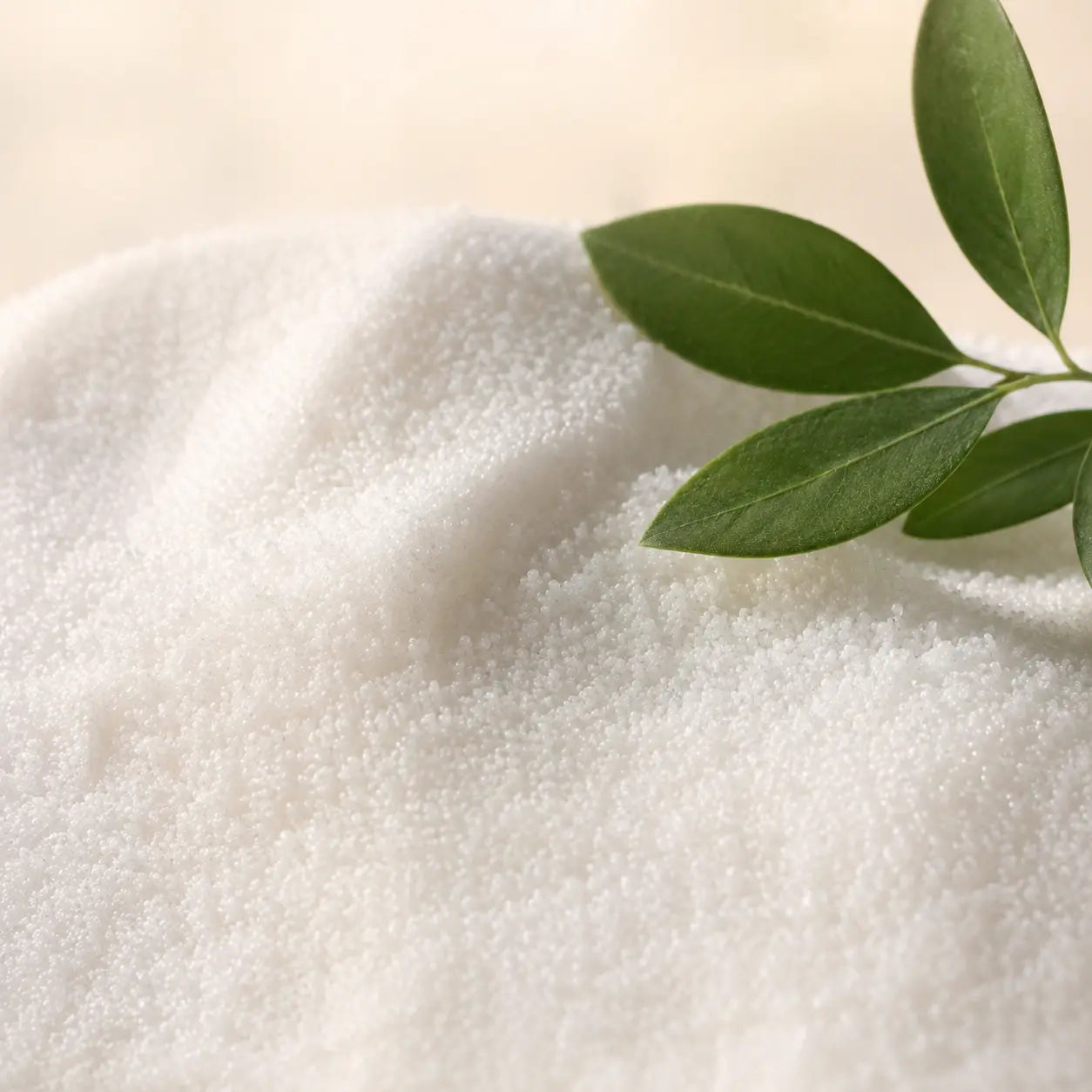 Plant-based pearled candle wax with green leaf